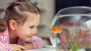 destaque4